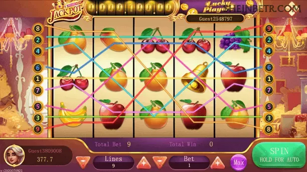 Interface do app